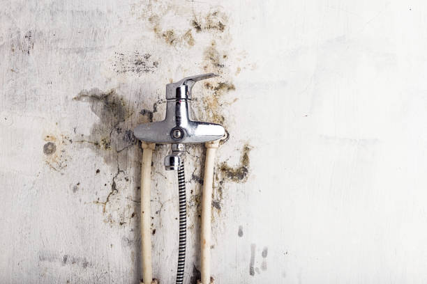 Best Mold Remediation Experts  in Haverhill, MA