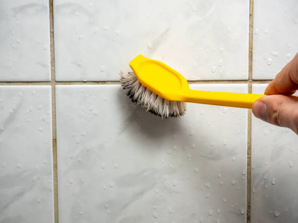 Best Attic Mold Removal  in Haverhill, MA