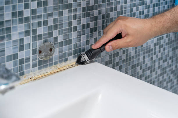 Best Commercial Mold Removal  in Haverhill, MA