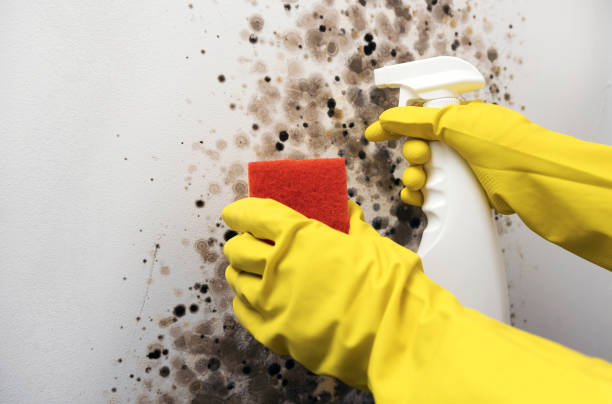 Water Damage Restoration in Haverhill, MA